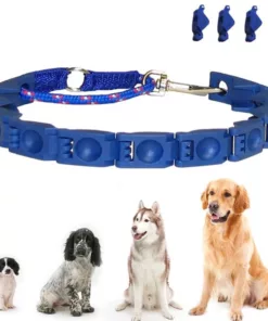 طوق كلاب تعليمي Command collar