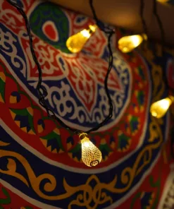 فرع زينة مضيئ
