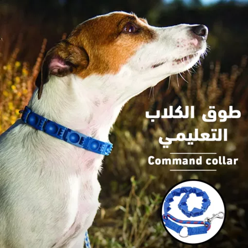 طوق كلاب تعليمي Command collar