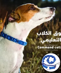 طوق كلاب تعليمي Command collar