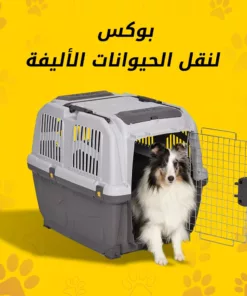 بوكس نقل الحيوانات الأليفة