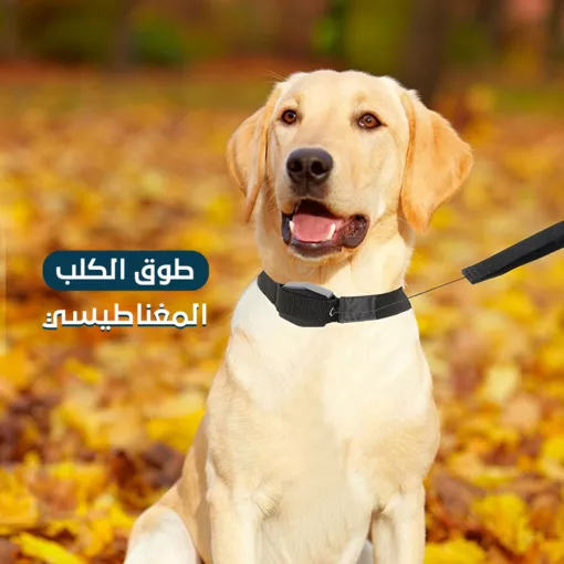طوق كلب مغناطيسي